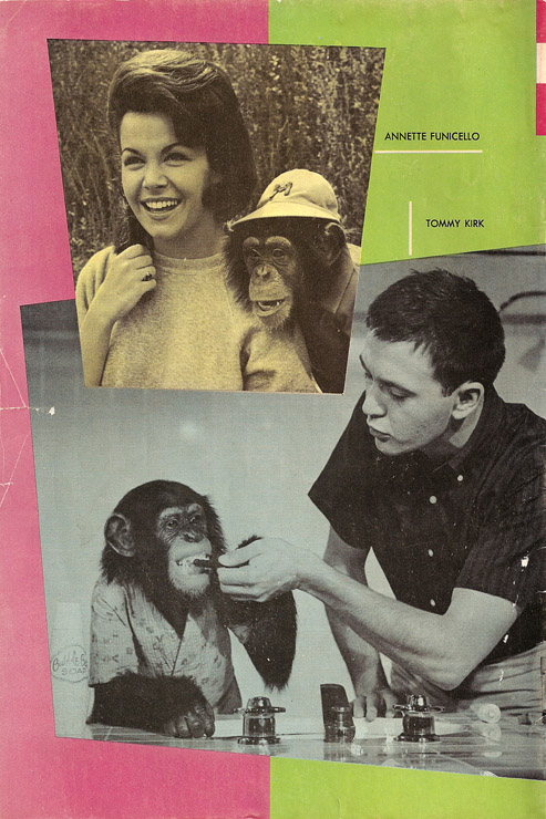 1965 Monkey's Uncle Comic back cover